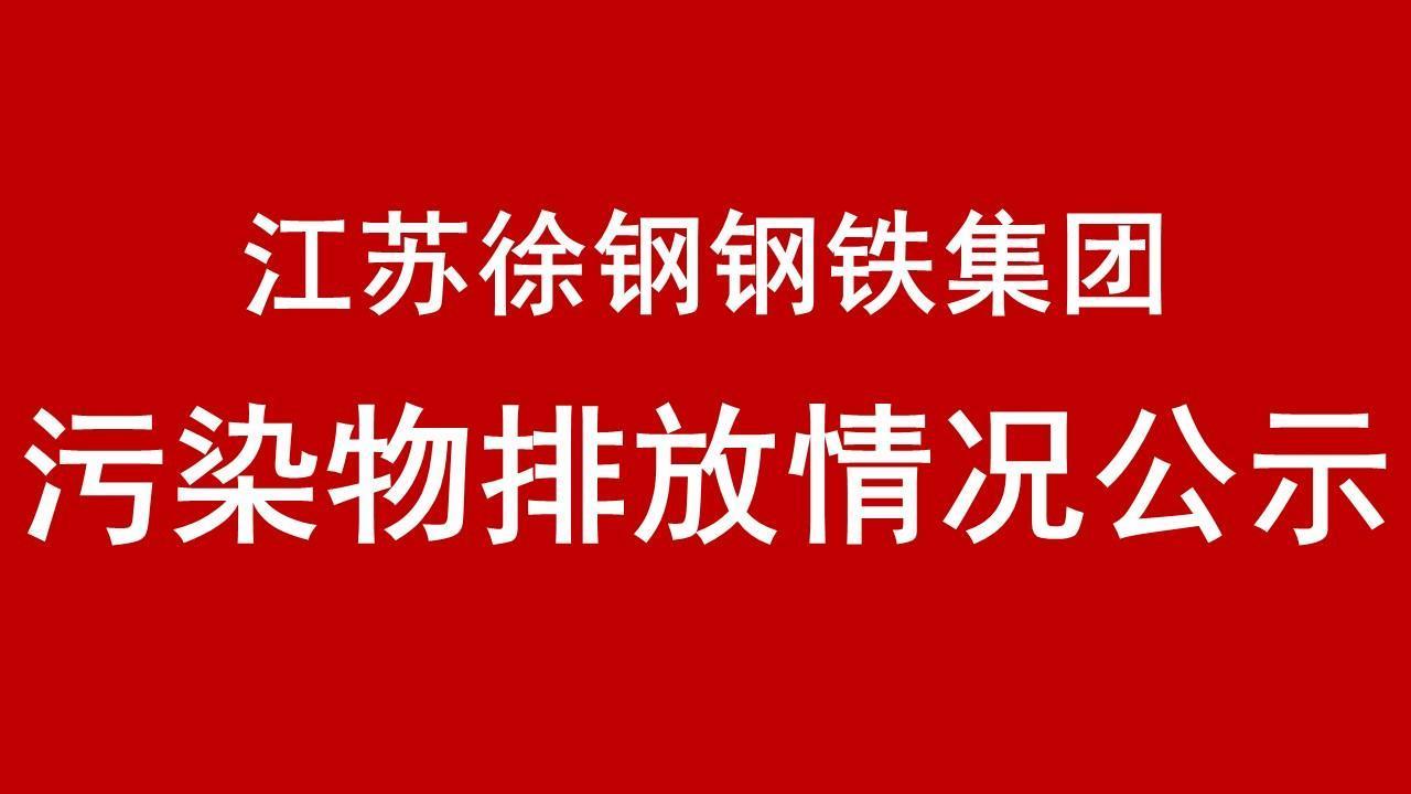 江蘇徐鋼鋼鐵集團有限公司2019年有毒有害物質(zhì)排放情況報告